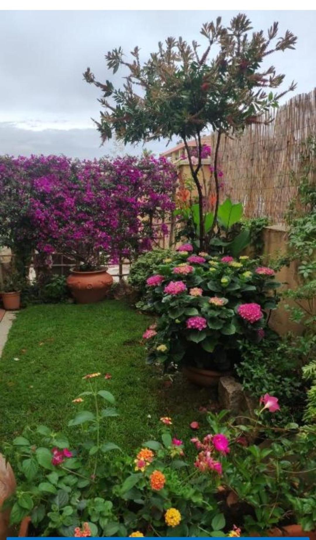 La Casa Di Luca Lägenhet Olbia Exteriör bild